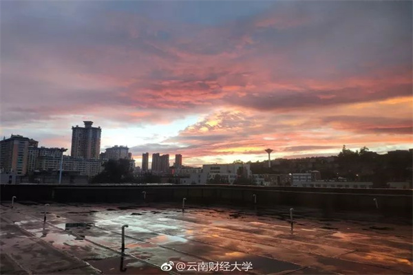 2025年5月5日两湖绿谷物流股份有限公司价格行情