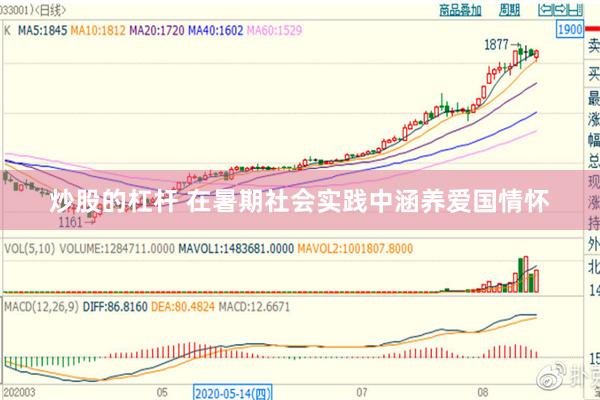 炒股的杠杆 在暑期社会实践中涵养爱国情怀