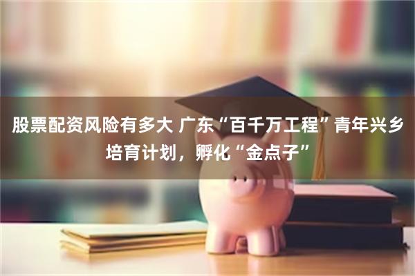 股票配资风险有多大 广东“百千万工程”青年兴乡培育计划，孵化“金点子”
