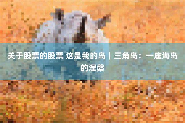 关于股票的股票 这是我的岛｜三角岛：一座海岛的涅槃