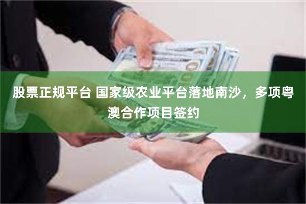 股票正规平台 国家级农业平台落地南沙，多项粤澳合作项目签约