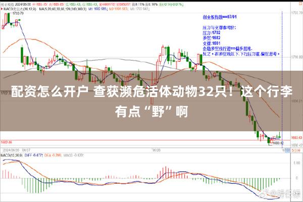 配资怎么开户 查获濒危活体动物32只！这个行李有点“野”啊