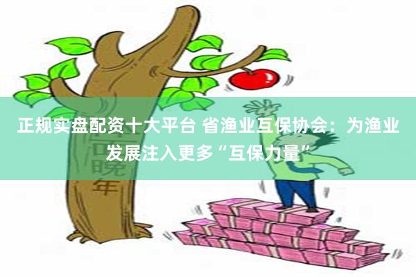 正规实盘配资十大平台 省渔业互保协会：为渔业发展注入更多“互保力量”