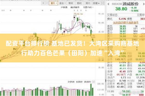 配资平台排行榜 基地已发货！大湾区采购商基地行助力百色芒果（田阳）加速“入湾”