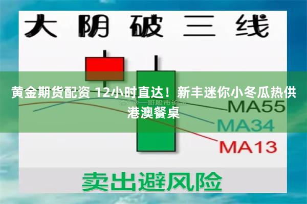 黄金期货配资 12小时直达！新丰迷你小冬瓜热供港澳餐桌