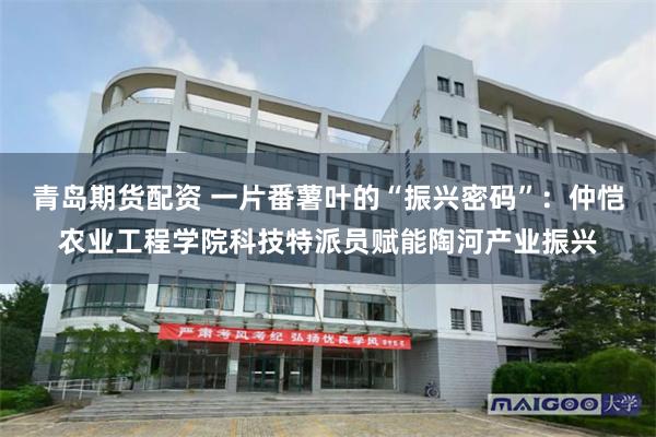 青岛期货配资 一片番薯叶的“振兴密码”：仲恺农业工程学院科技特派员赋能陶河产业振兴