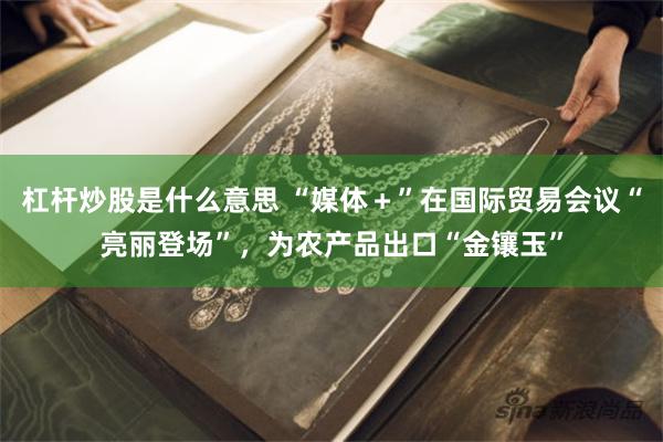 杠杆炒股是什么意思 “媒体＋”在国际贸易会议“亮丽登场”，为农产品出口“金镶玉”