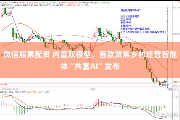 微信股票配资 内置双模型，首款聚焦乡村经营智能体“共富AI”发布