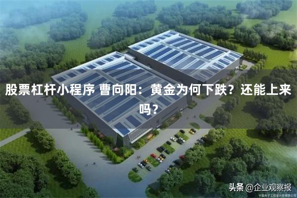 股票杠杆小程序 曹向阳：黄金为何下跌？还能上来吗？