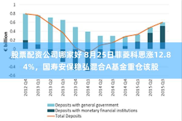 股票配资公司哪家好 8月25日菲菱科思涨12.84%，国寿安保稳弘混合A基金重仓该股