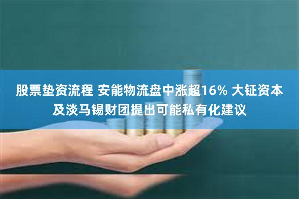 股票垫资流程 安能物流盘中涨超16% 大钲资本及淡马锡财团提出可能私有化建议