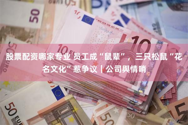 股票配资哪家专业 员工成“鼠辈”，三只松鼠“花名文化”惹争议｜公司舆情哨