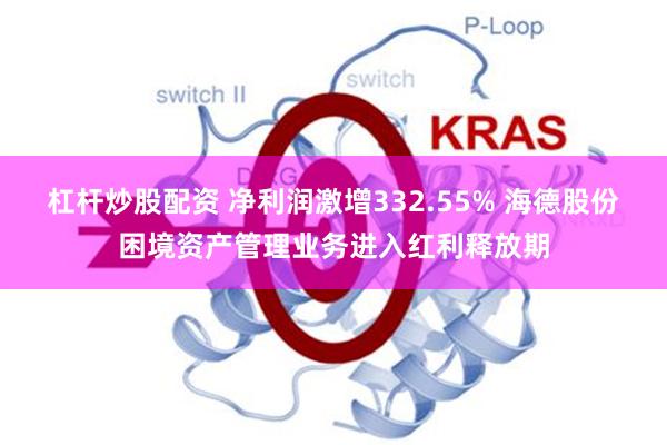 杠杆炒股配资 净利润激增332.55% 海德股份困境资产管理业务进入红利释放期