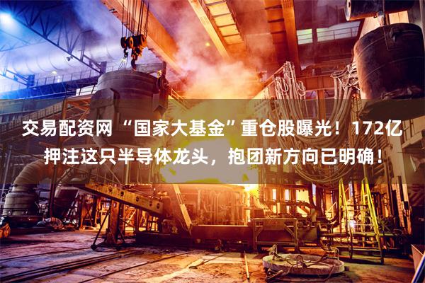交易配资网 “国家大基金”重仓股曝光！172亿押注这只半导体龙头，抱团新方向已明确！