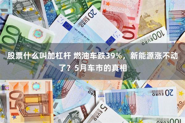 股票什么叫加杠杆 燃油车跌39%，新能源涨不动了？5月车市的真相