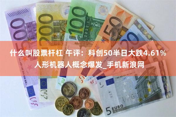 什么叫股票杆杠 午评：科创50半日大跌4.61% 人形机器人概念爆发_手机新浪网