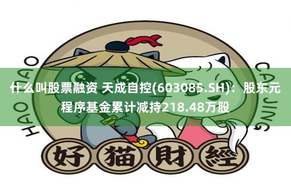 什么叫股票融资 天成自控(603085.SH)：股东元程序基金累计减持218.48万股