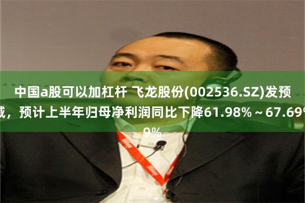 中国a股可以加杠杆 飞龙股份(002536.SZ)发预减，预计上半年归母净利润同比下降61.98%～67.69%