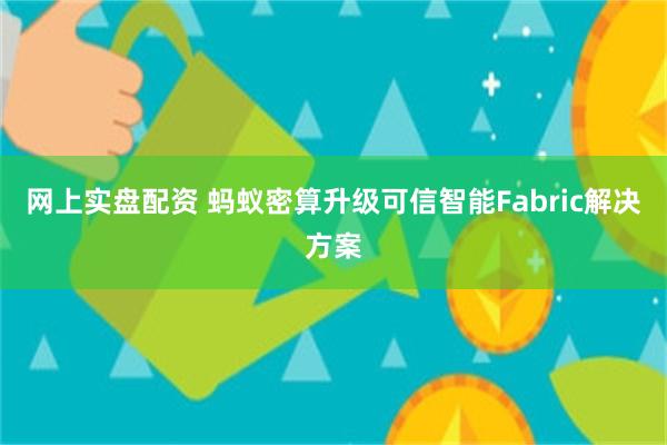网上实盘配资 蚂蚁密算升级可信智能Fabric解决方案