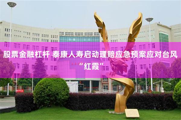股票金融杠杆 泰康人寿启动理赔应急预案应对台风“红霞”