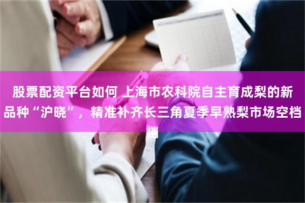 股票配资平台如何 上海市农科院自主育成梨的新品种“沪晓”，精准补齐长三角夏季早熟梨市场空档