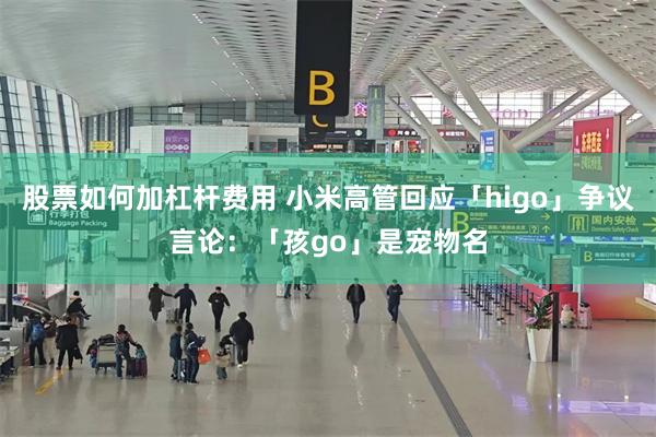 股票如何加杠杆费用 小米高管回应「higo」争议言论：「孩go」是宠物名