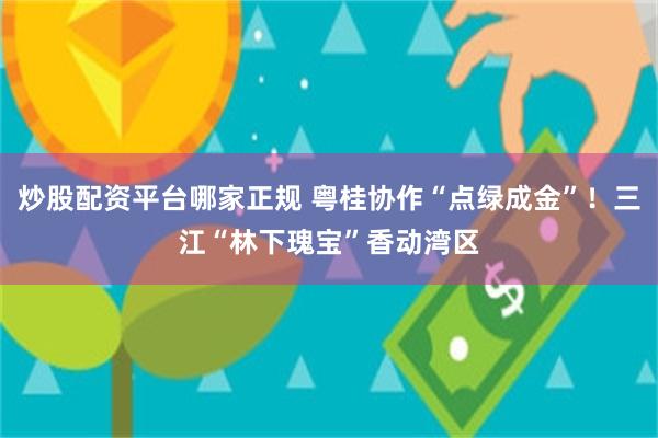 炒股配资平台哪家正规 粤桂协作“点绿成金”!三江“林下瑰宝”香动湾区