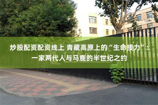 炒股配资配资线上 青藏高原上的“生命接力”：一家两代人与马鹿的半世纪之约