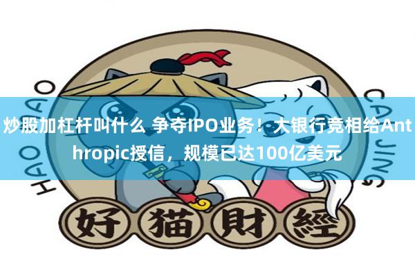 炒股加杠杆叫什么 争夺IPO业务！大银行竞相给Anthropic授信，规模已达100亿美元