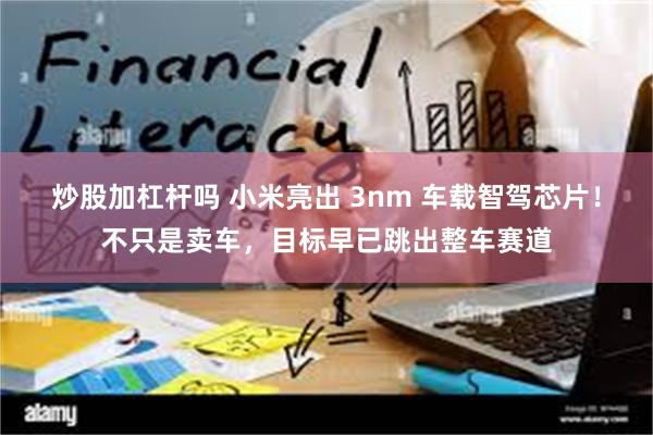 炒股加杠杆吗 小米亮出 3nm 车载智驾芯片!不只是卖车,目标早已跳出整车赛道
