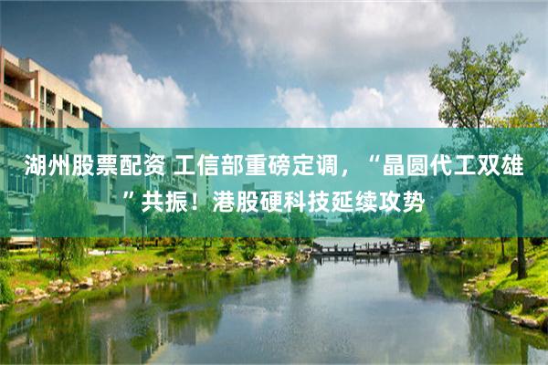 湖州股票配资 工信部重磅定调,“晶圆代工双雄”共振!港股硬科技延续攻势