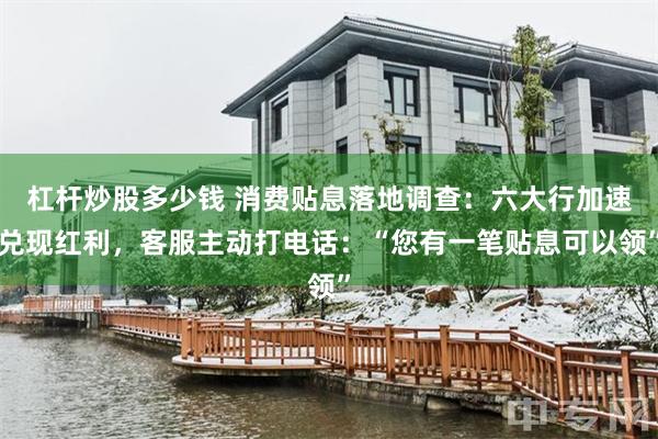杠杆炒股多少钱 消费贴息落地调查：六大行加速兑现红利，客服主动打电话：“您有一笔贴息可以领”