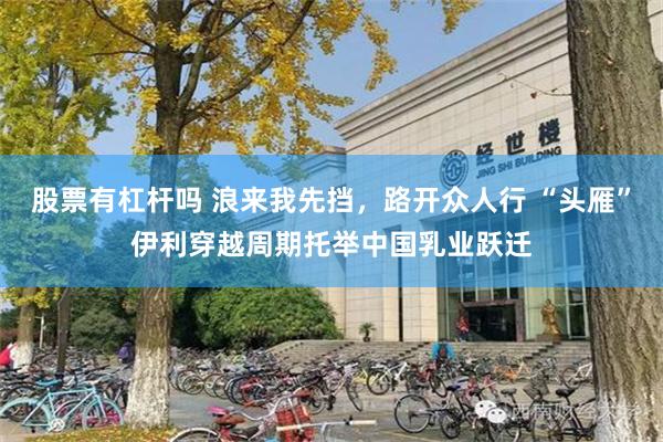 股票有杠杆吗 浪来我先挡，路开众人行 “头雁”伊利穿越周期托举中国乳业跃迁
