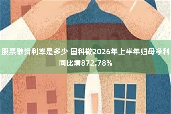 股票融资利率是多少 国科微2026年上半年归母净利同比增872.78%