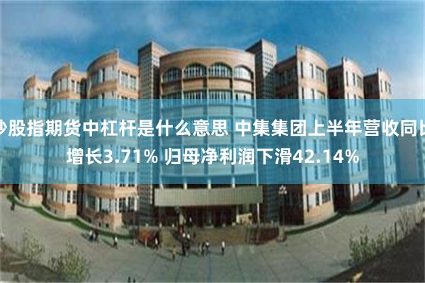 炒股指期货中杠杆是什么意思 中集集团上半年营收同比增长3.71% 归母净利润下滑42.14%