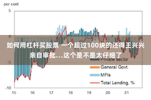如何用杠杆买股票 一个超过100块的还得王兴兴亲自审批…这个是不是太仔细了